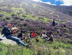 28圈- 燕赵雪豹队鏖战渝州暴熊队，棒球热身赛火力全开，转换速度占优。门前嗅觉决定胜负